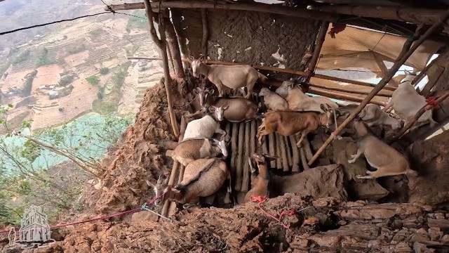 Ngôi nhà nằm trên bờ vực nguy hiểm nhất Việt Nam: Chuồng dê có view Ngôi nhà nằm trên bờ vực nguy hiểm nhất Việt Nam: Chuồng dê có view