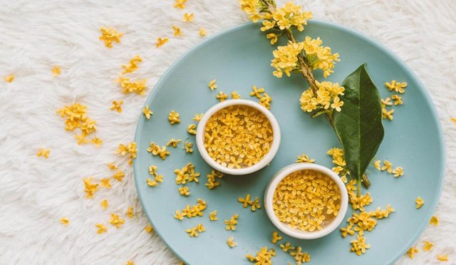 Loại cây sánh ngang lan đột biến của Việt Nam: Đại gia sẵn lòng vác bao tải tiền, gán thêm ô tô để mua- Ảnh 5. Loại cây sánh ngang lan đột biến của Việt Nam: Đại gia sẵn lòng vác bao tải tiền, gán thêm ô tô để mua- Ảnh 5.