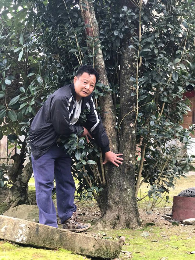 Loại cây sánh ngang lan đột biến của Việt Nam: Đại gia sẵn lòng vác bao tải tiền, gán thêm ô tô để mua- Ảnh 4. Loại cây sánh ngang lan đột biến của Việt Nam: Đại gia sẵn lòng vác bao tải tiền, gán thêm ô tô để mua- Ảnh 4.