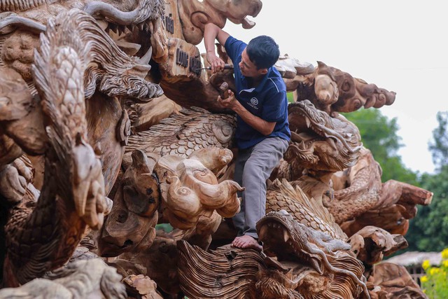 Bí ẩn gốc me tây giá 24 tỷ đồng, chủ nhân dành gần 2 năm tạo hình cửu long canh ngọc- Ảnh 6. Bí ẩn gốc me tây giá 24 tỷ đồng, chủ nhân dành gần 2 năm tạo hình cửu long canh ngọc- Ảnh 6.