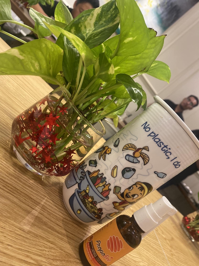 NSƯT Hạnh Thúy: "Nếu hạn chế ô nhiễm môi trường, Việt Nam là một đất nước tuyệt vời để sống" - Ảnh 2. NSƯT Hạnh Thúy: "Nếu hạn chế ô nhiễm môi trường, Việt Nam là một đất nước tuyệt vời để sống" - Ảnh 2.