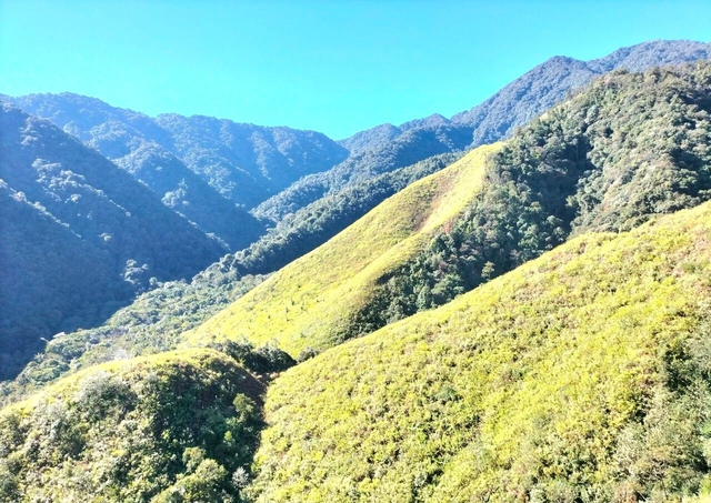 Phát hiện điểm được nhắc trong Phát hiện điểm được nhắc trong