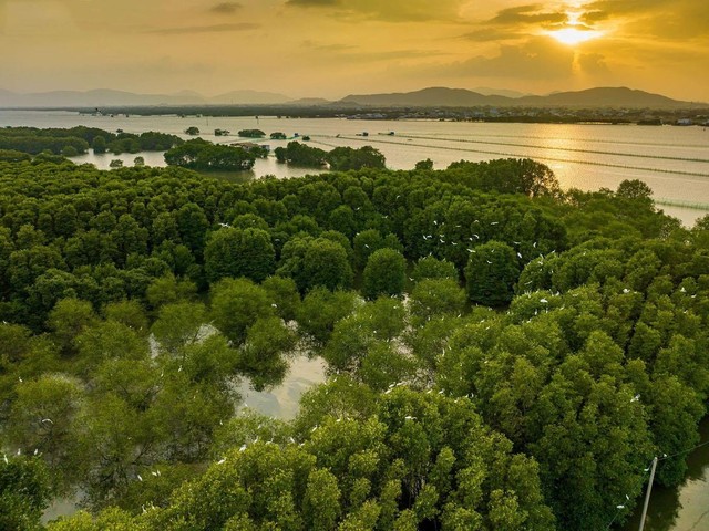 Phát hiện điểm du lịch sông nước độc lạ tại thành phố biển, du khách ca ngợi như một “miền Tây thu nhỏ"- Ảnh 9. Phát hiện điểm du lịch sông nước độc lạ tại thành phố biển, du khách ca ngợi như một “miền Tây thu nhỏ"- Ảnh 9.
