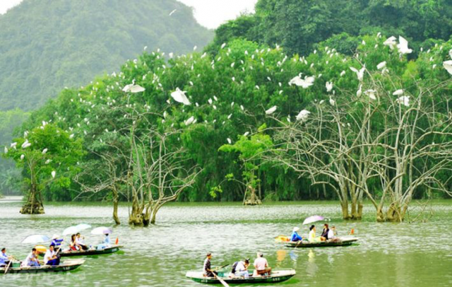 Phát hiện điểm du lịch sông nước độc lạ tại thành phố biển, du khách ca ngợi như một “miền Tây thu nhỏ"- Ảnh 3. Phát hiện điểm du lịch sông nước độc lạ tại thành phố biển, du khách ca ngợi như một “miền Tây thu nhỏ"- Ảnh 3.