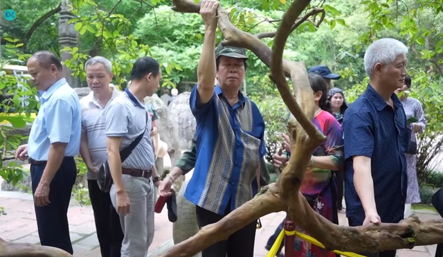 Kỳ lạ cây ổi biết "cười" khi bị cù lét ở Thanh Hóa, sờ vào thân cây liền có cảm giác khó tả trong người- Ảnh 2.