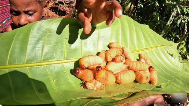 48 giờ sống cùng bộ lạc ăn thịt người, ẩn mình trong rừng rậm của "gã lang thang" người Việt- Ảnh 6.