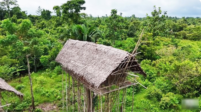 48 giờ sống cùng bộ lạc ăn thịt người, ẩn mình trong rừng rậm của "gã lang thang" người Việt- Ảnh 1.