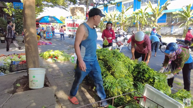 Anh Minh Râu bán hàng ế ẩm vẫn đều đặn tặng rau miễn phí, vừa lĩnh tiền từ YouTube vội làm ngay một việc- Ảnh 4. Anh Minh Râu bán hàng ế ẩm vẫn đều đặn tặng rau miễn phí, vừa lĩnh tiền từ YouTube vội làm ngay một việc- Ảnh 4.
