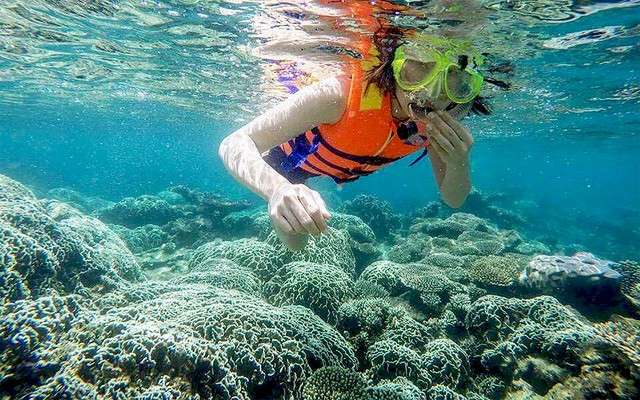 Có một hòn đảo hoang sơ cách thành phố chưa tới 20km, du khách nhận xét: "Nước trong nhìn thấy tận đáy"- Ảnh 8. Có một hòn đảo hoang sơ cách thành phố chưa tới 20km, du khách nhận xét: "Nước trong nhìn thấy tận đáy"- Ảnh 8.