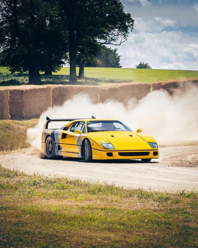 Giới siêu giàu đua nhau đầu tư thứ 'vàng' mới: Giá trị tăng 30 lần, ông Đặng Lê Nguyên Vũ có rất nhiều- Ảnh 16. Giới siêu giàu đua nhau đầu tư thứ 'vàng' mới: Giá trị tăng 30 lần, ông Đặng Lê Nguyên Vũ có rất nhiều- Ảnh 16.