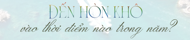 Có một hòn đảo hoang sơ cách thành phố chưa tới 20km, du khách nhận xét: "Nước trong nhìn thấy tận đáy"- Ảnh 11. Có một hòn đảo hoang sơ cách thành phố chưa tới 20km, du khách nhận xét: "Nước trong nhìn thấy tận đáy"- Ảnh 11.