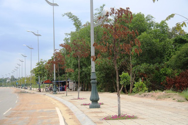 Bộ Công an yêu cầu hàng loạt địa phương cung cấp tài liệu về dự án cây xanh, là những tỉnh nào?- Ảnh 1. Bộ Công an yêu cầu hàng loạt địa phương cung cấp tài liệu về dự án cây xanh, là những tỉnh nào?- Ảnh 1.