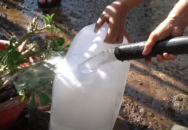 Ngôi làng ở Đồng Nai đi vài bước chân lại có cặp sinh đôi, nghi do một thứ, du khách khắp nơi đổ về xin- Ảnh 9. Ngôi làng ở Đồng Nai đi vài bước chân lại có cặp sinh đôi, nghi do một thứ, du khách khắp nơi đổ về xin- Ảnh 9.