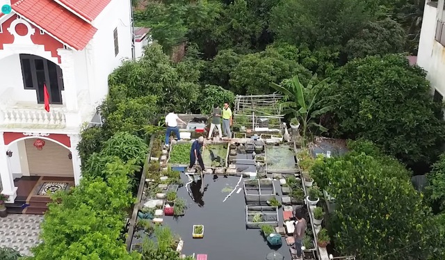 Ao cá trên nóc nhà của cụ ông 89 tuổi ở Hải Dương: Có khách cũng không phải đi chợ, lên ao là có ăn- Ảnh 3. Ao cá trên nóc nhà của cụ ông 89 tuổi ở Hải Dương: Có khách cũng không phải đi chợ, lên ao là có ăn- Ảnh 3.