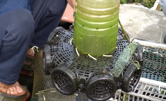 Ao cá trên nóc nhà của cụ ông 89 tuổi ở Hải Dương: Có khách cũng không phải đi chợ, lên ao là có ăn- Ảnh 7. Ao cá trên nóc nhà của cụ ông 89 tuổi ở Hải Dương: Có khách cũng không phải đi chợ, lên ao là có ăn- Ảnh 7.
