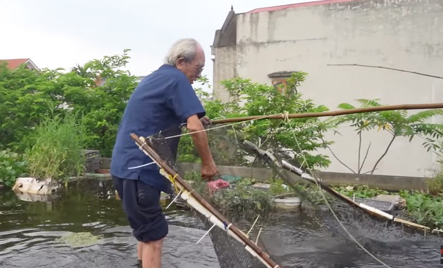 Ao cá trên nóc nhà của cụ ông 89 tuổi ở Hải Dương: Có khách cũng không phải đi chợ, lên ao là có ăn- Ảnh 4.