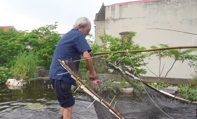 Ao cá trên nóc nhà của cụ ông 89 tuổi ở Hải Dương: Có khách cũng không phải đi chợ, lên ao là có ăn- Ảnh 4. Ao cá trên nóc nhà của cụ ông 89 tuổi ở Hải Dương: Có khách cũng không phải đi chợ, lên ao là có ăn- Ảnh 4.