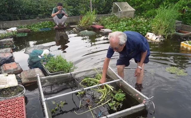 Ao cá trên nóc nhà của cụ ông 89 tuổi ở Hải Dương: Có khách cũng không phải đi chợ, lên ao là có ăn- Ảnh 5. Ao cá trên nóc nhà của cụ ông 89 tuổi ở Hải Dương: Có khách cũng không phải đi chợ, lên ao là có ăn- Ảnh 5.