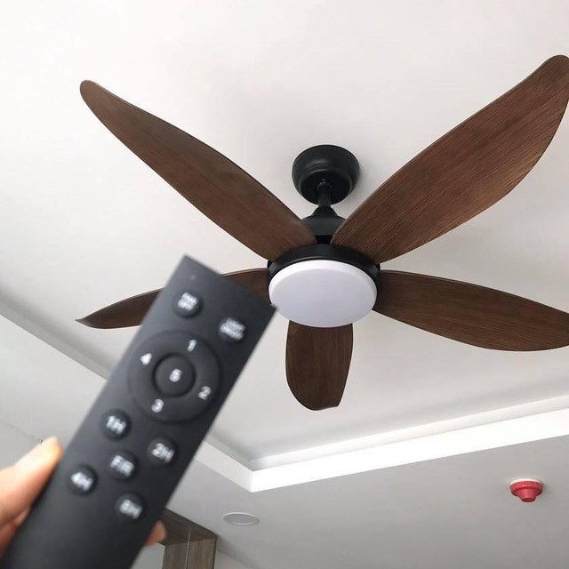 Khi ngủ nên đặt quạt gần hay xa giường? Có nên đặt ở đầu giường? Thì ra rất nhiều nhà đang làm sai- Ảnh 4.