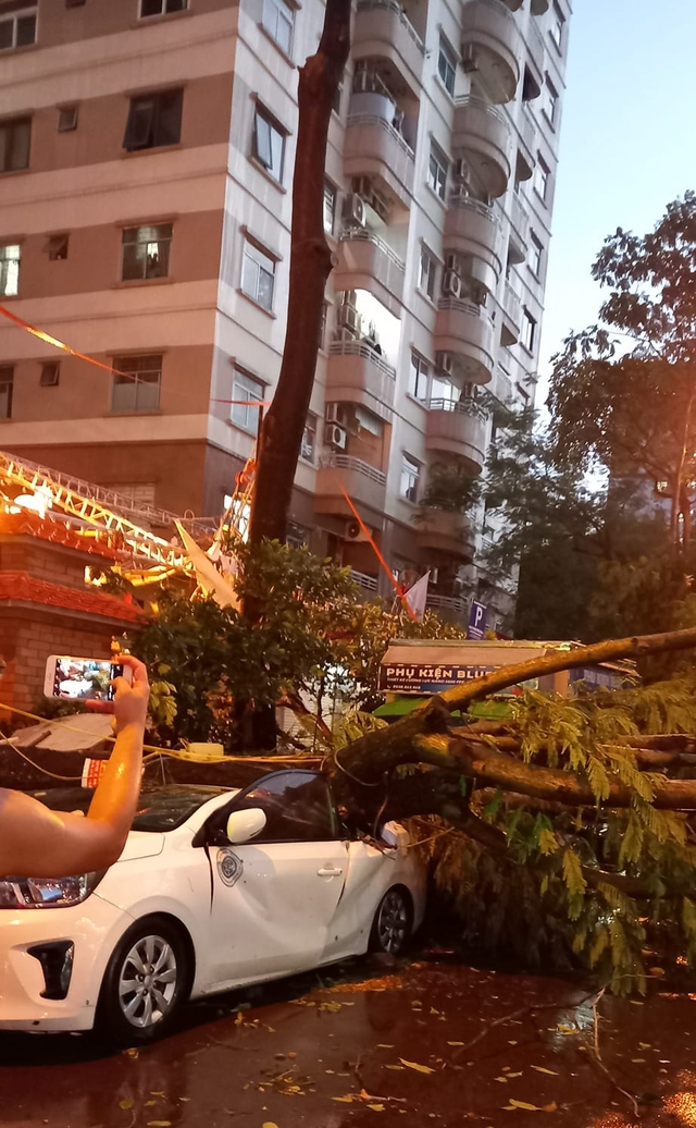 Hà Nội mưa dông bất chợt, cây đổ đè bẹp xe ô tô- Ảnh 4. Hà Nội mưa dông bất chợt, cây đổ đè bẹp xe ô tô- Ảnh 4.
