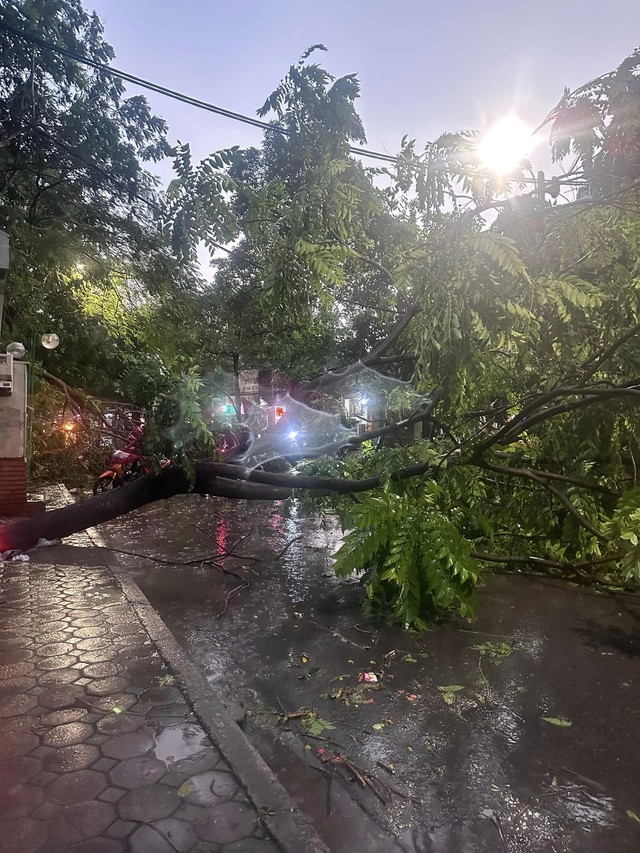 Hà Nội mưa dông bất chợt, cây đổ đè bẹp xe ô tô- Ảnh 5. Hà Nội mưa dông bất chợt, cây đổ đè bẹp xe ô tô- Ảnh 5.