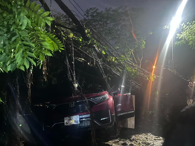 Hà Nội mưa dông bất chợt, cây đổ đè bẹp xe ô tô- Ảnh 6. Hà Nội mưa dông bất chợt, cây đổ đè bẹp xe ô tô- Ảnh 6.