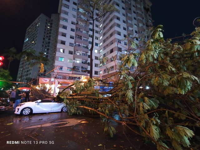 Hà Nội mưa dông bất chợt, cây đổ đè bẹp xe ô tô- Ảnh 1. Hà Nội mưa dông bất chợt, cây đổ đè bẹp xe ô tô- Ảnh 1.
