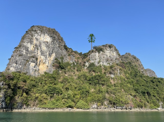 “Không thể tin điểm du lịch nổi tiếng như vịnh Hạ Long lại không có sóng điện thoại": Lý do là gì?- Ảnh 3. “Không thể tin điểm du lịch nổi tiếng như vịnh Hạ Long lại không có sóng điện thoại": Lý do là gì?- Ảnh 3.