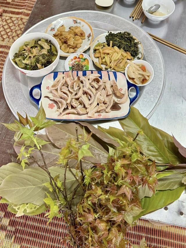 Vợ chồng "chốt" mua 1500m2 đất rừng qua ảnh vệ tinh, thành quả hiện tại khiến bao người ngưỡng mộ- Ảnh 16. Vợ chồng "chốt" mua 1500m2 đất rừng qua ảnh vệ tinh, thành quả hiện tại khiến bao người ngưỡng mộ- Ảnh 16.