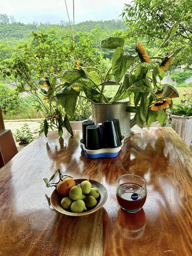 Vợ chồng "chốt" mua 1500m2 đất rừng qua ảnh vệ tinh, thành quả hiện tại khiến bao người ngưỡng mộ- Ảnh 17. Vợ chồng "chốt" mua 1500m2 đất rừng qua ảnh vệ tinh, thành quả hiện tại khiến bao người ngưỡng mộ- Ảnh 17.