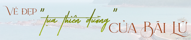 Bên cạnh Cửa Lò, Nghệ An còn có 1 bãi biển khác được người bản địa yêu thích: Được ví "như thiên đường"- Ảnh 2. Bên cạnh Cửa Lò, Nghệ An còn có 1 bãi biển khác được người bản địa yêu thích: Được ví "như thiên đường"- Ảnh 2.