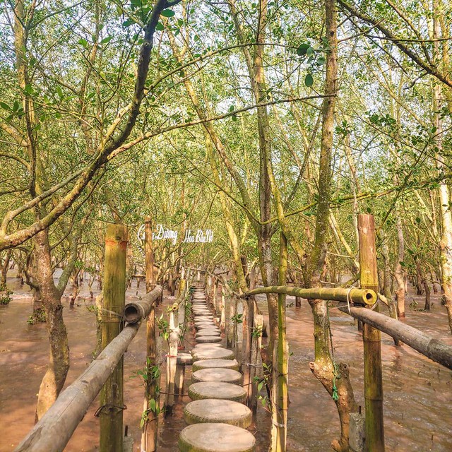 Phát hiện "bãi biển vô cực" cách Hà Nội hơn 100km: Du khách không tắm biển mà có hoạt động hoàn toàn khác- Ảnh 2. Phát hiện "bãi biển vô cực" cách Hà Nội hơn 100km: Du khách không tắm biển mà có hoạt động hoàn toàn khác- Ảnh 2.