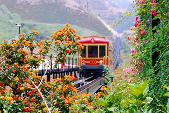 Chuyến tàu leo núi duy nhất ở miền Bắc: Từng đạt kỷ lục Việt Nam, du khách nhận xét như Thụy Sĩ thu nhỏ- Ảnh 1. Chuyến tàu leo núi duy nhất ở miền Bắc: Từng đạt kỷ lục Việt Nam, du khách nhận xét như Thụy Sĩ thu nhỏ- Ảnh 1.