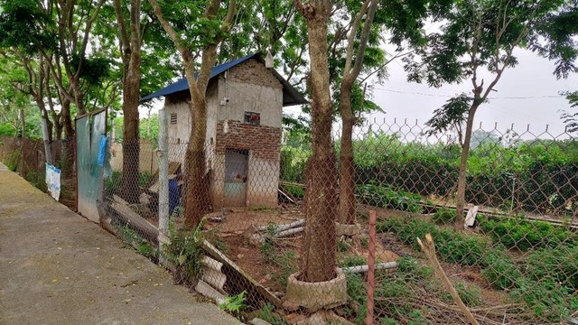 Vùng đất ở Hà Nội trồng loại cây là Vùng đất ở Hà Nội trồng loại cây là