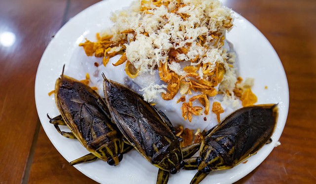 Món bánh cuốn có cả côn trùng của người Việt: Ai không quen nhìn chẳng dám ăn, nghe giá mới bất ngờ- Ảnh 1. Món bánh cuốn có cả côn trùng của người Việt: Ai không quen nhìn chẳng dám ăn, nghe giá mới bất ngờ- Ảnh 1.