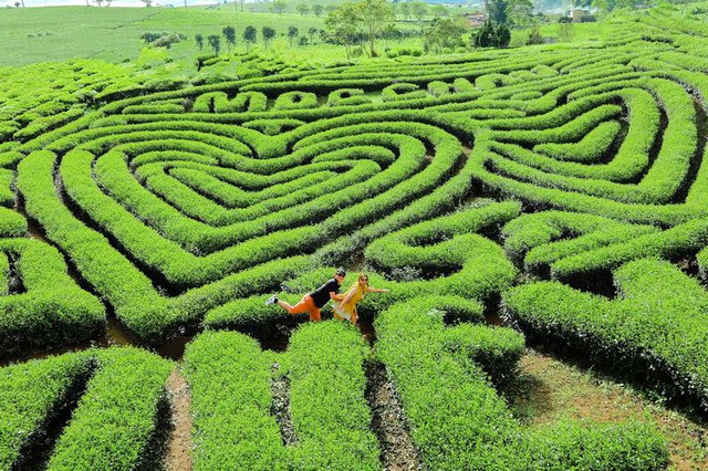 Cầu kính đi bộ dài nhất thế giới nằm ngay ở miền Bắc Việt Nam: Dài chưa tới 1km, nhiều người không dám đi- Ảnh 15. Cầu kính đi bộ dài nhất thế giới nằm ngay ở miền Bắc Việt Nam: Dài chưa tới 1km, nhiều người không dám đi- Ảnh 15.