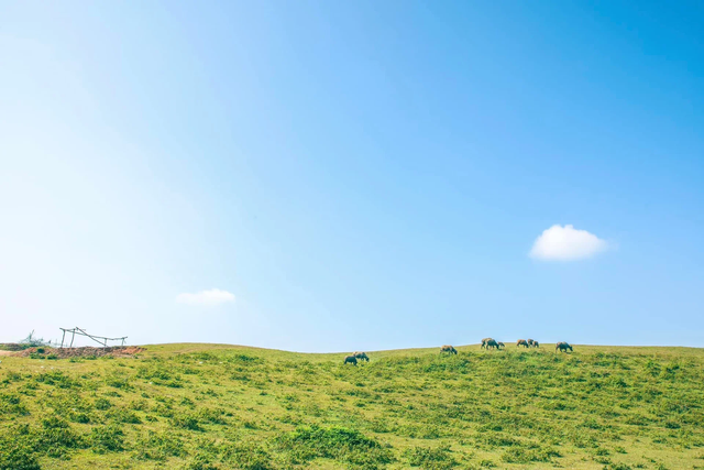 Phát hiện thảo nguyên xanh tựa thiên đường, cách thành phố chỉ 30km, dân bản địa gọi bằng tên đặc biệt- Ảnh 2. Phát hiện thảo nguyên xanh tựa thiên đường, cách thành phố chỉ 30km, dân bản địa gọi bằng tên đặc biệt- Ảnh 2.