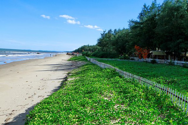 Ngoài Sầm Sơn, Thanh Hoá còn có 1 bãi biển đẹp tự nhiên nhiều du khách chưa biết: Cách thành phố chỉ 20km- Ảnh 3. Ngoài Sầm Sơn, Thanh Hoá còn có 1 bãi biển đẹp tự nhiên nhiều du khách chưa biết: Cách thành phố chỉ 20km- Ảnh 3.