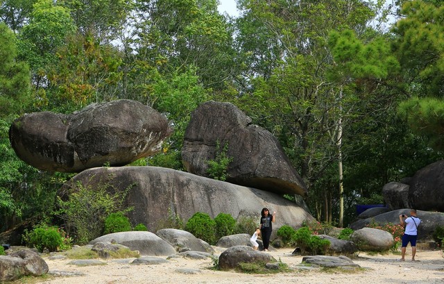 Ngoài Sầm Sơn, Thanh Hoá còn có 1 bãi biển đẹp tự nhiên nhiều du khách chưa biết: Cách thành phố chỉ 20km- Ảnh 10. Ngoài Sầm Sơn, Thanh Hoá còn có 1 bãi biển đẹp tự nhiên nhiều du khách chưa biết: Cách thành phố chỉ 20km- Ảnh 10.