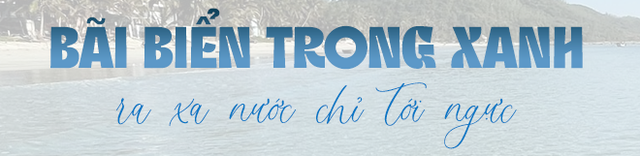 Phát hiện bãi biển được ví như "Hawaii ở Việt Nam", cách thành phố 50km, ra xa bờ 100m nước chỉ tới ngực- Ảnh 5.