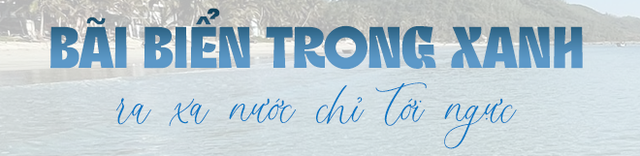Phát hiện bãi biển được ví như "Hawaii ở Việt Nam", cách thành phố 50km, ra xa bờ 100m nước chỉ tới ngực- Ảnh 5. Phát hiện bãi biển được ví như "Hawaii ở Việt Nam", cách thành phố 50km, ra xa bờ 100m nước chỉ tới ngực- Ảnh 5.