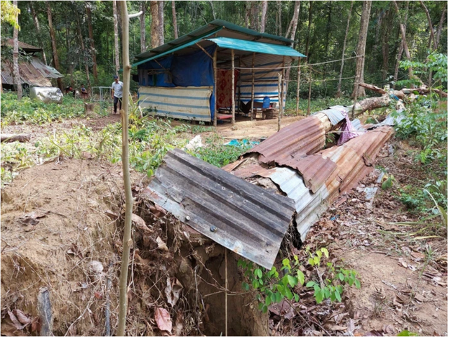 Khu rừng trắc quý nhất Việt Nam: Xây tường ngăn gần 30 tỷ, được bảo vệ bằng cách lạ thường- Ảnh 5. Khu rừng trắc quý nhất Việt Nam: Xây tường ngăn gần 30 tỷ, được bảo vệ bằng cách lạ thường- Ảnh 5.