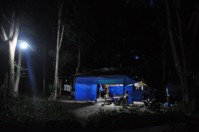 Khu rừng trắc quý nhất Việt Nam: Xây tường ngăn gần 30 tỷ, được bảo vệ bằng cách lạ thường- Ảnh 4. Khu rừng trắc quý nhất Việt Nam: Xây tường ngăn gần 30 tỷ, được bảo vệ bằng cách lạ thường- Ảnh 4.