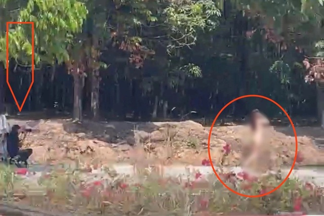 Bắt nguyên Phó giám đốc Sở Khoa học và Công nghệ Hoà Bình lừa đảo - Ảnh 1. Bắt nguyên Phó giám đốc Sở Khoa học và Công nghệ Hoà Bình lừa đảo - Ảnh 1.