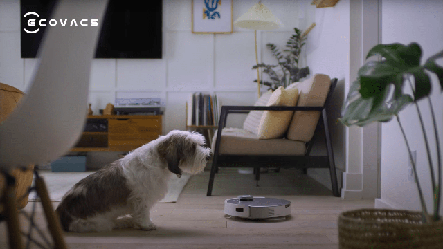 Ai dùng robot hút bụi Ecovacs phải xem ngay: Chúng có thể bị biến thành camera nhìn lén mà bạn không biết- Ảnh 2. Ai dùng robot hút bụi Ecovacs phải xem ngay: Chúng có thể bị biến thành camera nhìn lén mà bạn không biết- Ảnh 2.