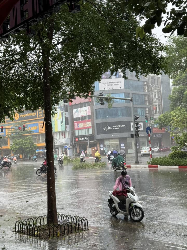 Hà Nội mưa to giữa trưa, gió giật như bão, cây đổ - Ảnh 3.