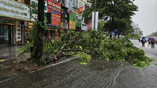 Hà Nội mưa to giữa trưa, gió giật như bão, cây đổ - Ảnh 4.