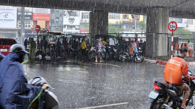 Hà Nội mưa to giữa trưa, gió giật như bão, cây đổ - Ảnh 5.