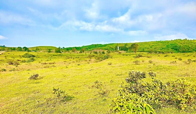 Phát hiện cao nguyên cảnh như nước ngoài, khí hậu có đủ 4 mùa trong ngày, cách thành phố hơn 100km- Ảnh 6. Phát hiện cao nguyên cảnh như nước ngoài, khí hậu có đủ 4 mùa trong ngày, cách thành phố hơn 100km- Ảnh 6.