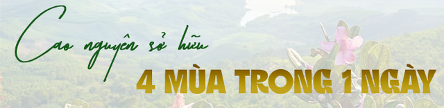 Phát hiện cao nguyên cảnh như nước ngoài, khí hậu có đủ 4 mùa trong ngày, cách thành phố hơn 100km- Ảnh 2. Phát hiện cao nguyên cảnh như nước ngoài, khí hậu có đủ 4 mùa trong ngày, cách thành phố hơn 100km- Ảnh 2.